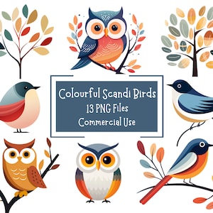 Colorida colección de aves escandinavas / 13 archivos PNG con fondos transparentes / Uso comercial / Artesanía de papel digital / Aves minimalistas