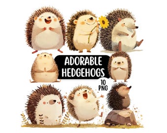 Adorable Hedgehog PNG Clipart Bundle, Cute Woodland Animals PNG, Forest Animal Digital Download, Cute Woodland Hedgehog For Crafts