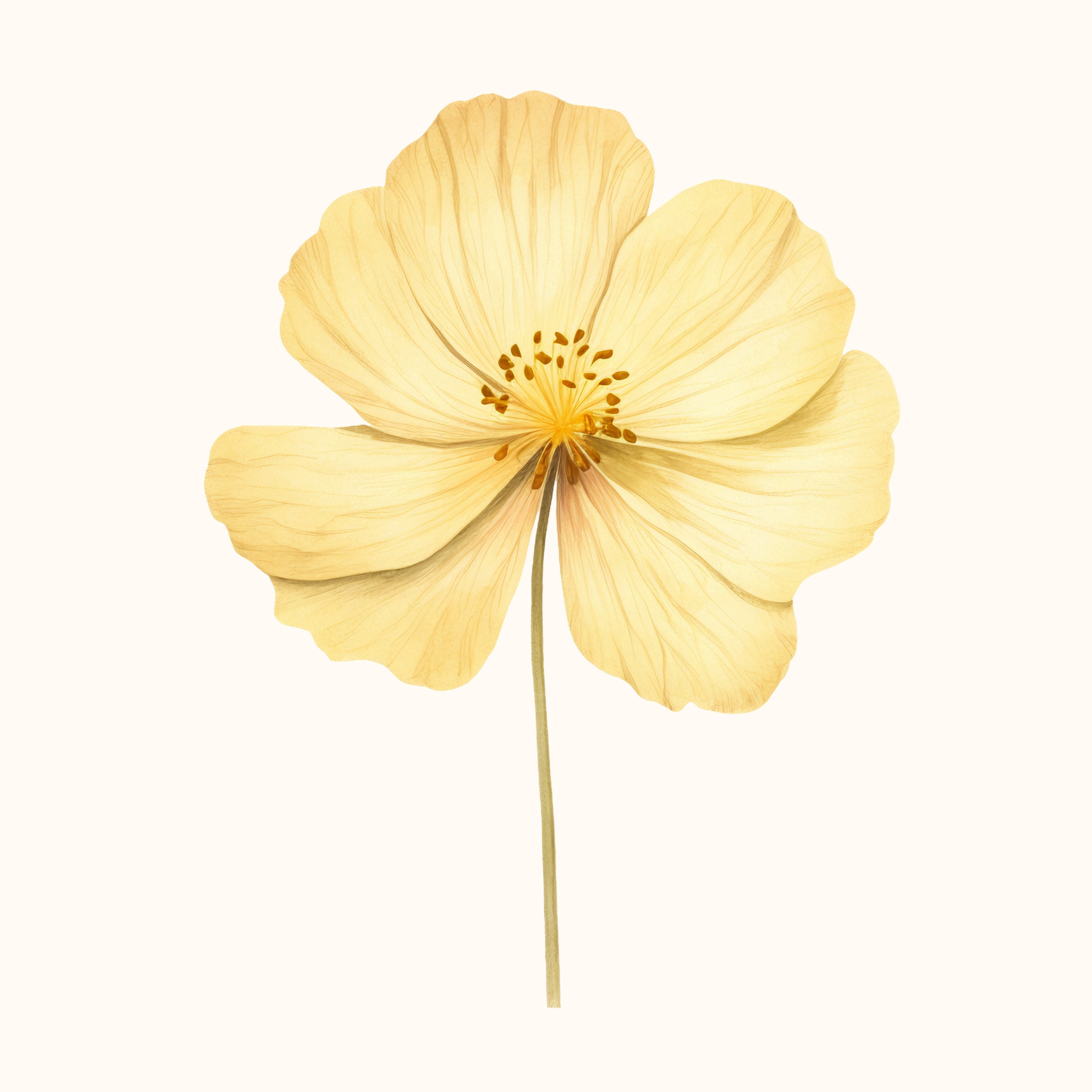 14 Watercolour Spring Flowers Clipart Bundle | High Quality 300DPI PNG ...
