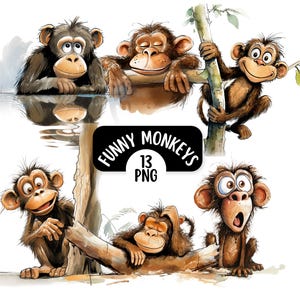 Paquete de imágenes prediseñadas de monos lindos y divertidos (13 imágenes PNG), fondos transparentes, imágenes prediseñadas de animales de la selva en acuarela, monos de dibujos animados originales.