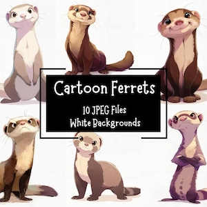 Lindo y divertido paquete de imágenes prediseñadas de hurón de dibujos animados 10 archivos JPEG / fondos blancos / uso comercial / elaboración digital / imágenes prediseñadas de hurón de anime