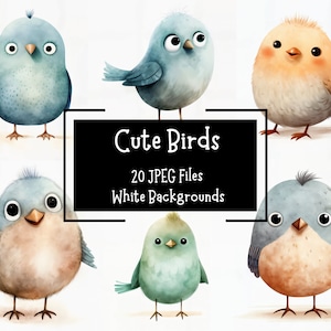 Lindo paquete de imágenes prediseñadas de pájaros de acuarela 20 archivos JPEG / Fondos blancos / Uso comercial / Elaboración digital / Diario basura / Pájaros caprichosos
