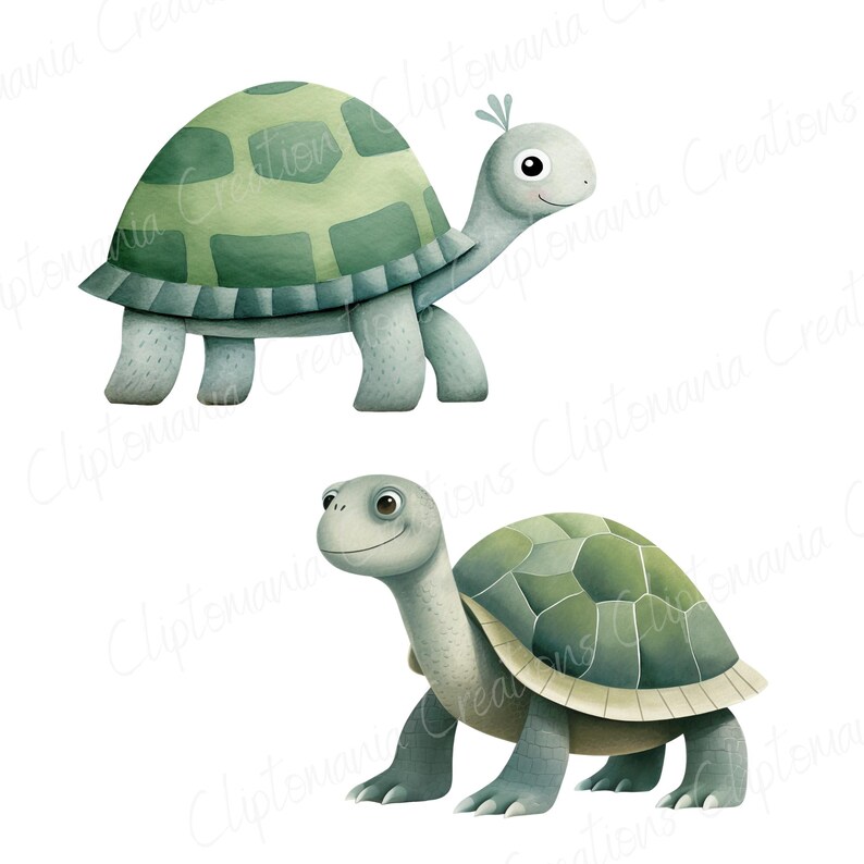 Cute Watercolour Turtle PNG Clipart Bundle, Cute Ocean Animals for Baby Shower, Nursery Prints & Digital Crafts, Cute Tortoise PNG image 4