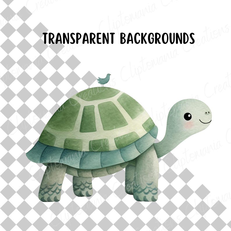 Cute Watercolour Turtle PNG Clipart Bundle, Cute Ocean Animals for Baby Shower, Nursery Prints & Digital Crafts, Cute Tortoise PNG image 2