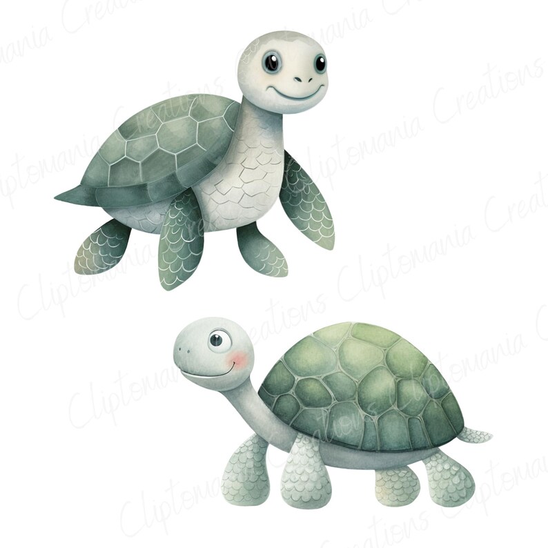 Cute Watercolour Turtle PNG Clipart Bundle, Cute Ocean Animals for Baby Shower, Nursery Prints & Digital Crafts, Cute Tortoise PNG image 5