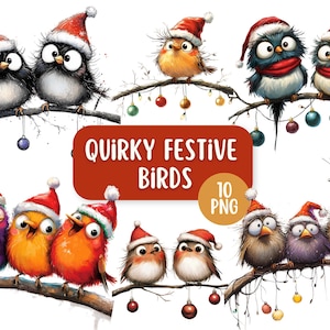 Paquete de 10 imágenes PNG con pájaros festivos extravagantes en una rama / Fondos transparentes / Pájaros navideños lindos y divertidos / Diseños para hacer tarjetas
