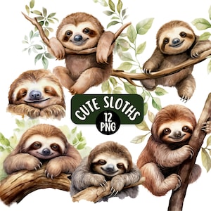 Cute Watercolour Sloths PNG Clipart Bundle, Transparent Backgrounds, Digital Download, Cute Jungle Animal, Cute Animal PNG