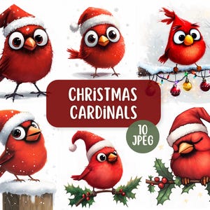 Cardeais de Natal de desenho animado fofos e engraçados 10 JPEG | Pássaros festivos | Designs para fazer cartões | Clipart de feriado | Pássaros peculiares de inverno