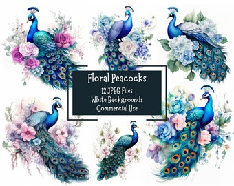 Floral Peacock Clipart Bundle | 12 JPEG Images With Backgrounds | Commercial Use | Printable Watercolour Digital Download |  Junk Journal