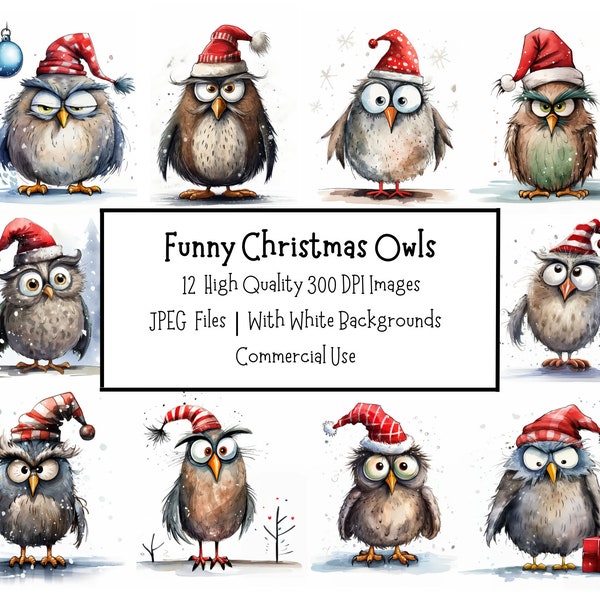 Funny Christmas Owl Clipart Bundle | 12 High Quality JPEG Illustrations With White Backgrounds | Digital Paper Craft | Card Making