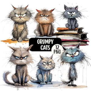 Funny Grumpy Cat PNG-clipartbundel, transparante achtergrond, commercieel gebruik, grappige Angry Cat-graphics