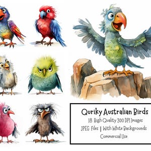 Ensemble de 18 cliparts JPEG originaux oiseaux australiens | Conceptions de fabrication de cartes | Oiseaux mignons et drôles | Oiseau coloré imprimable | Scrapbooking numérique