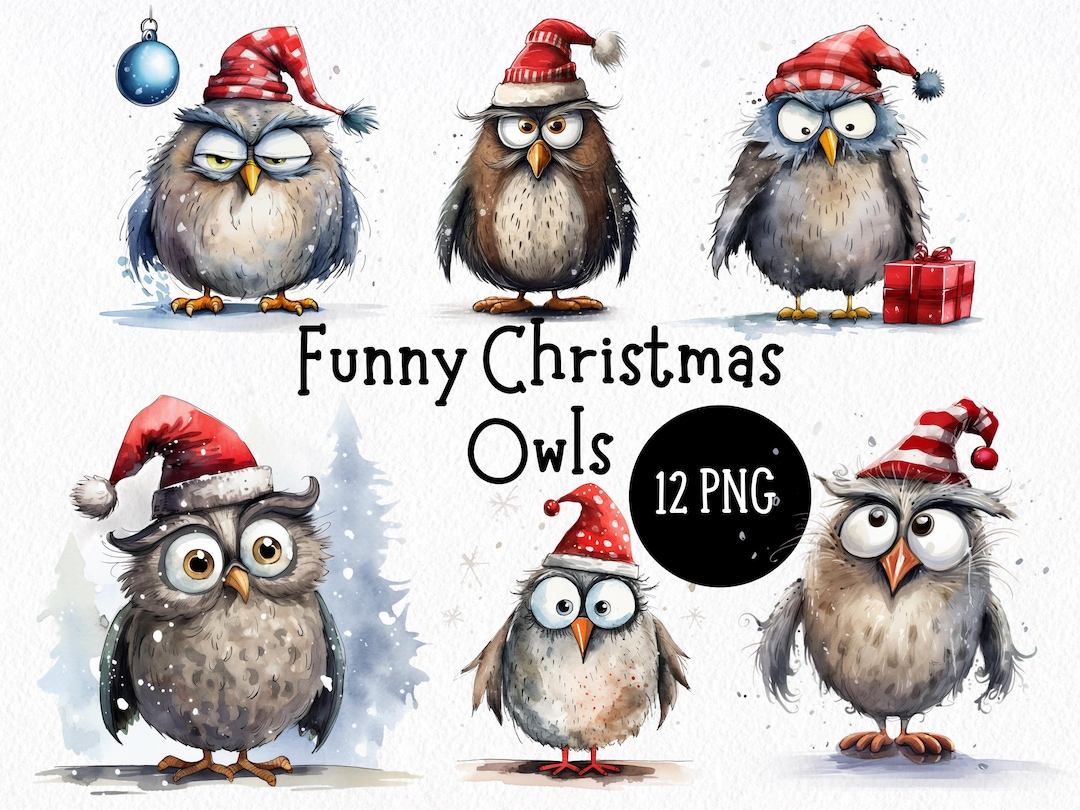 Funny Christmas Owl 12 PNG Clipart Bundle Transparent Backgrounds