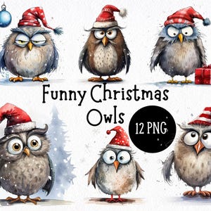 Lustige Weihnachten Eule 12 PNG PNG Bundle | Transparente Hintergründe | Mürrische Eule | Druckbare lustige festliche Grafiken | Kartengestaltung