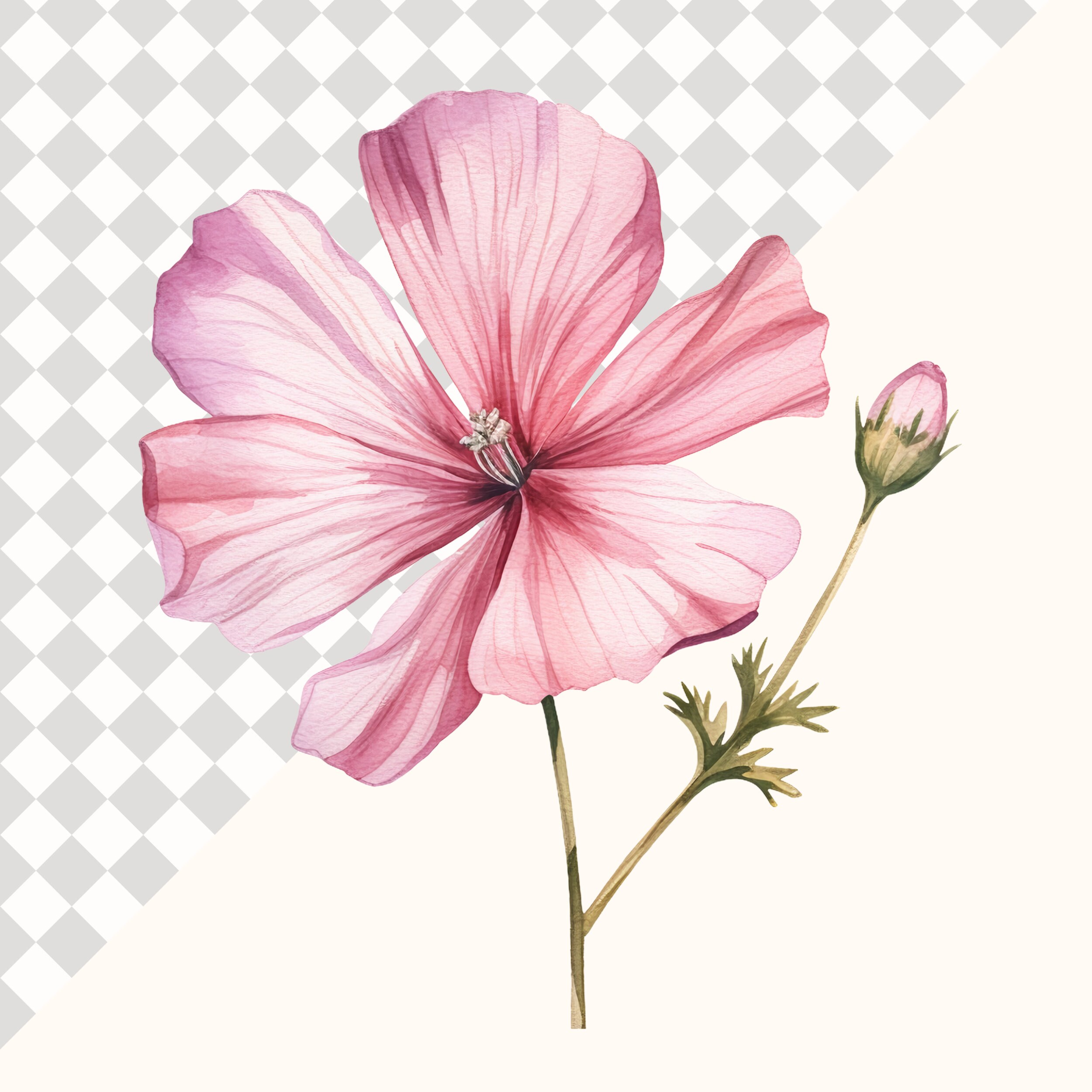 14 Watercolour Spring Flowers Clipart Bundle | High Quality 300DPI PNG ...