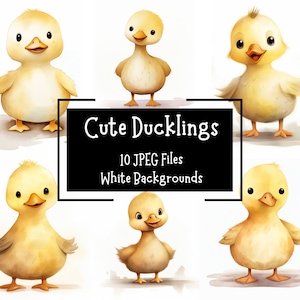 Lindo paquete de imágenes prediseñadas de patito de acuarela, 12 archivos JPEG, fondos blancos, uso comercial, manualidades digitales, diario basura, animales de granja