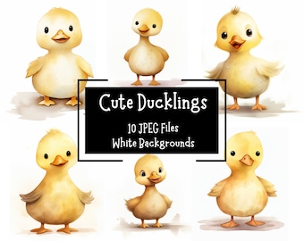 Watercolor Duckling Clipart | Farm Animal Illustrations (JPEG Files)