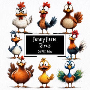 Lustige Bauernhof Vögel Clipart Bundle 20 PNG | Transparente Hintergründe | Kommerzielle Nutzung | Schrullige Vogel-Grafiken | Kartengestaltung | Lustige Tiere