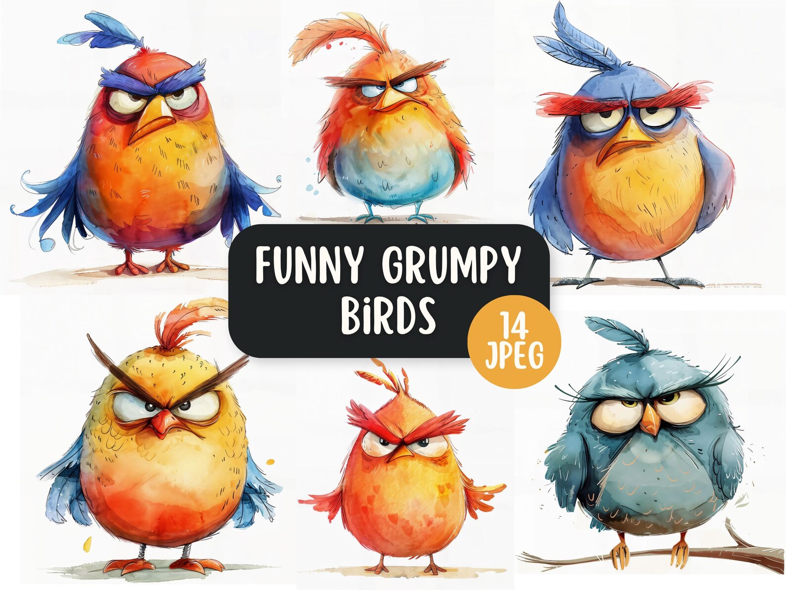 Funny Grumpy Birds 14 JPEG Clipart Bundle | Commercial Use | Card ...