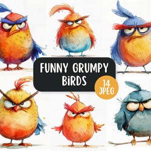 Paquete de 14 imágenes prediseñadas JPEG de pájaros gruñones divertidos / Uso comercial / Diseños para hacer tarjetas / Pájaros coloridos y extravagantes / Pájaros enojados y malhumorados en una rama