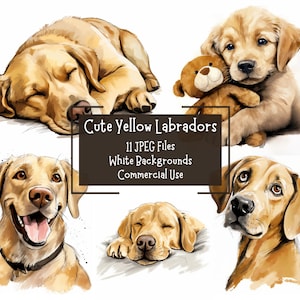 Cute Yellow Labrador Dog Clipart Bundle | 11 High Quality JPEG Illustrations With Backgrounds | Commercial Use | Junk Journal | Card Making