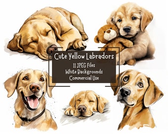 Schattige gele labradorhond clipartbundel | 11 JPEG-illustraties van hoge kwaliteit met achtergrond | Commercieel gebruik | Junkjournaal | Kaarten maken