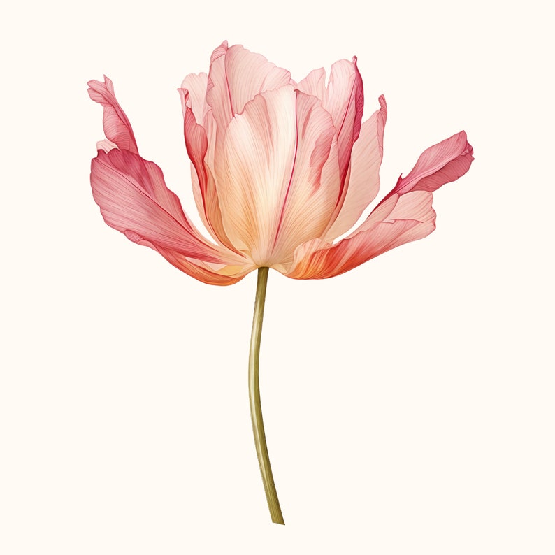 14 Watercolour Spring Flowers Clipart Bundle | High Quality 300DPI PNG ...