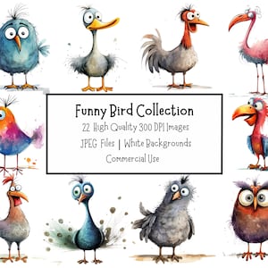 Bird Clipart Bundle | Collection of 22 Cute And Funny Bird Illustrations | High Quality JPEG Files | Commercial Use | Digital Paper Craft