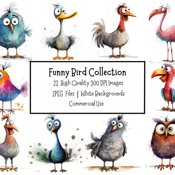 Bird Clipart Bundle | Collection of 22 Cute And Funny Bird Illustrations | High Quality JPEG Files | Commercial Use | Digital Paper Craft