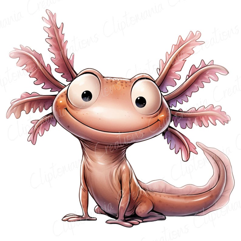 May include: A cartoon axolotl illustration in pink and peach tones. The axolotl has large eyes, feathery gills, and a curved tail. The image is a digital illustration with a white background. The axolotl is smiling.