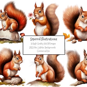 Écureuil Illustration Clipart | Lot de 10 fichiers Clipart JPEG de haute qualité | Nature, animal, créature des bois mignonne | Artisanat en papier
