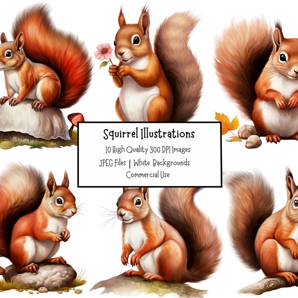 Squirrel Illustration Clipart | Bundle of 10 High Quality JPEG Clipart Files | Nature, Animal, Cute Woodland Creature | Paper Craft