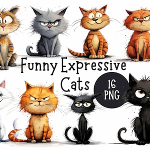 Gráficos divertidos y expresivos de gatos 16 archivos PNG / Uso comercial / Imágenes prediseñadas de animales domésticos extravagantes / Manualidades de papel digitales / Imágenes prediseñadas de gatos en acuarela