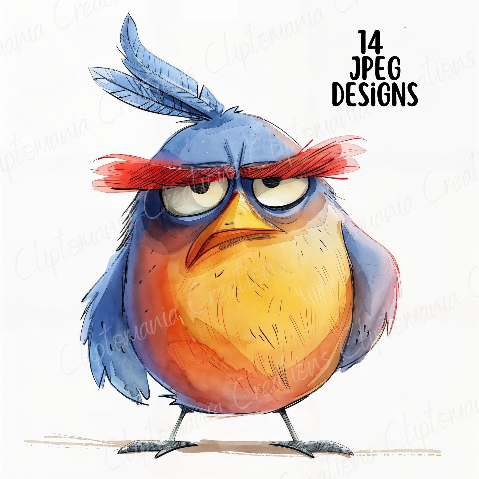 Funny Grumpy Birds 14 JPEG Clipart Bundle | Commercial Use | Card ...