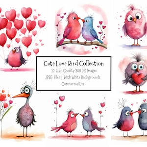Schattige liefde vogel clipart bundel | 10 JPEG-bestanden van hoge kwaliteit met achtergronden | Commercieel gebruik | Digitale papierambachten | Valentijnsdag clipart