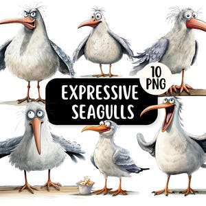 Pacote de clipart engraçado e expressivo de gaivota 10 PNG | Uso comercial | Gráficos engraçados de beira-mar | Pássaros engraçados | Artesanato em papel | Design de criação de cartões