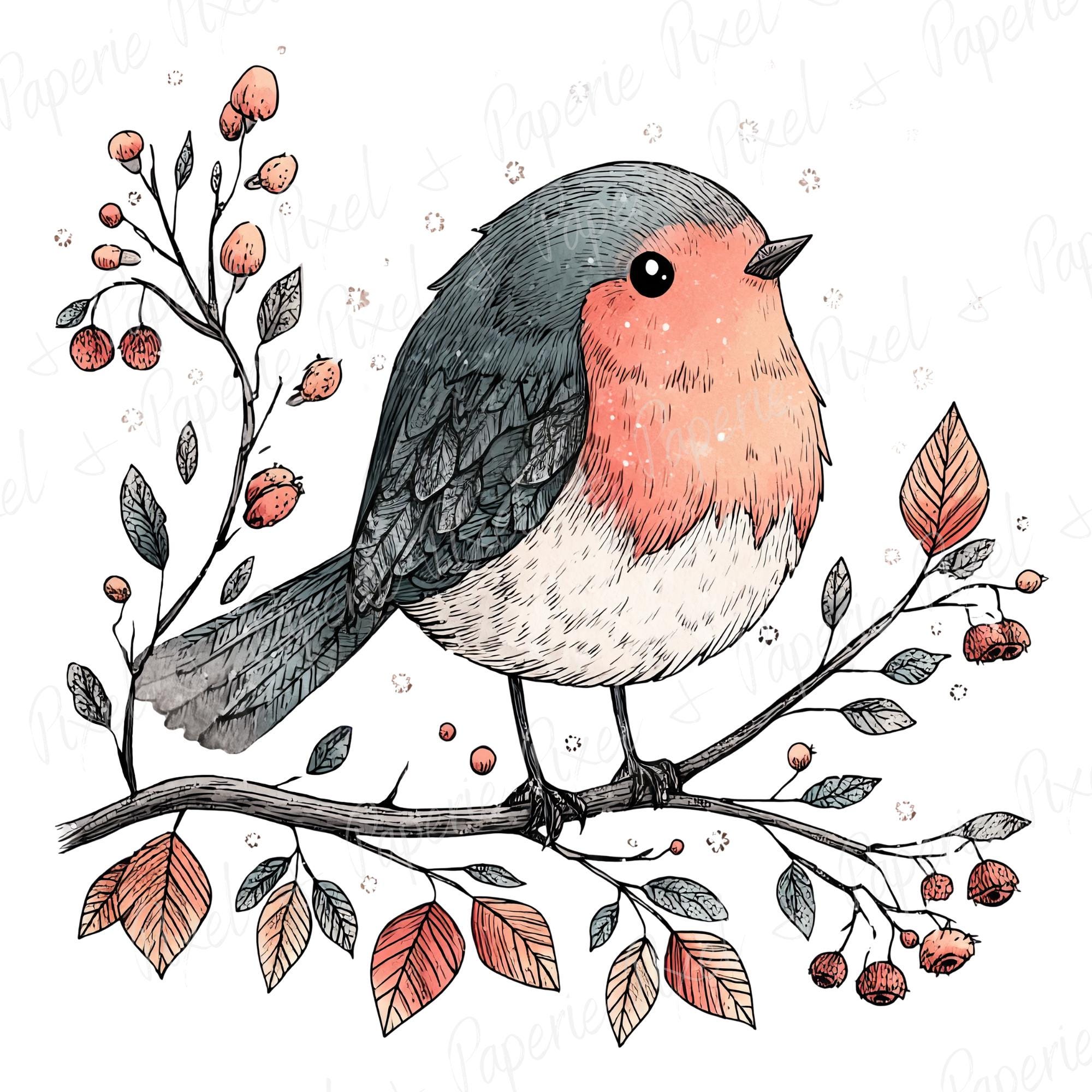 10 PNG Cute Christmas Robin Clipart Bundle, Transparent Backgrounds ...