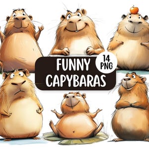 Süße & Lustige Capybara Clipart Bundle 14 PNG Designs | Kommerzielle Nutzung | Digitaler Download | Kartengestaltung | Papiermodelle | Digitales Scrapbooking