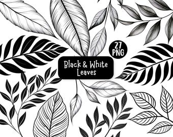 Black & White Leaves Clipart Bundle | 27 High Quality PNG Files With Transparent Backgrounds | Commercial Licence | Botanical Illustrations
