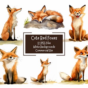 Süßer Rotfuchs JPEG Clipart Bundle | 12 Hochwertige 300DPI Bilder | Kommerzielle Nutzung | Digitaler Download | Junk Journal | Papierkunst