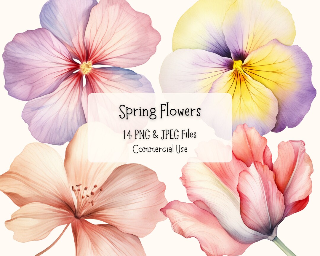 14 Watercolour Spring Flowers Clipart Bundle | High Quality 300DPI PNG ...