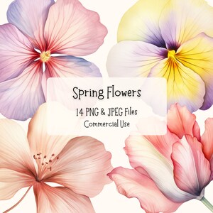 Pacote de 14 clipart de flores de primavera em aquarela | Arquivos PNG e JPEG de alta qualidade de 300 DPI | Uso comercial | Flores prensadas | Convites DIY
