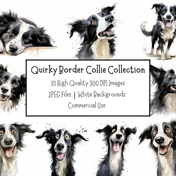 Lustig & schrullig Border Collie Hund Clipart Bundle | 10 hochwertige JPEG-Abbildungen | Kommerzielle Nutzung | Digitaler Download | Junk Journal