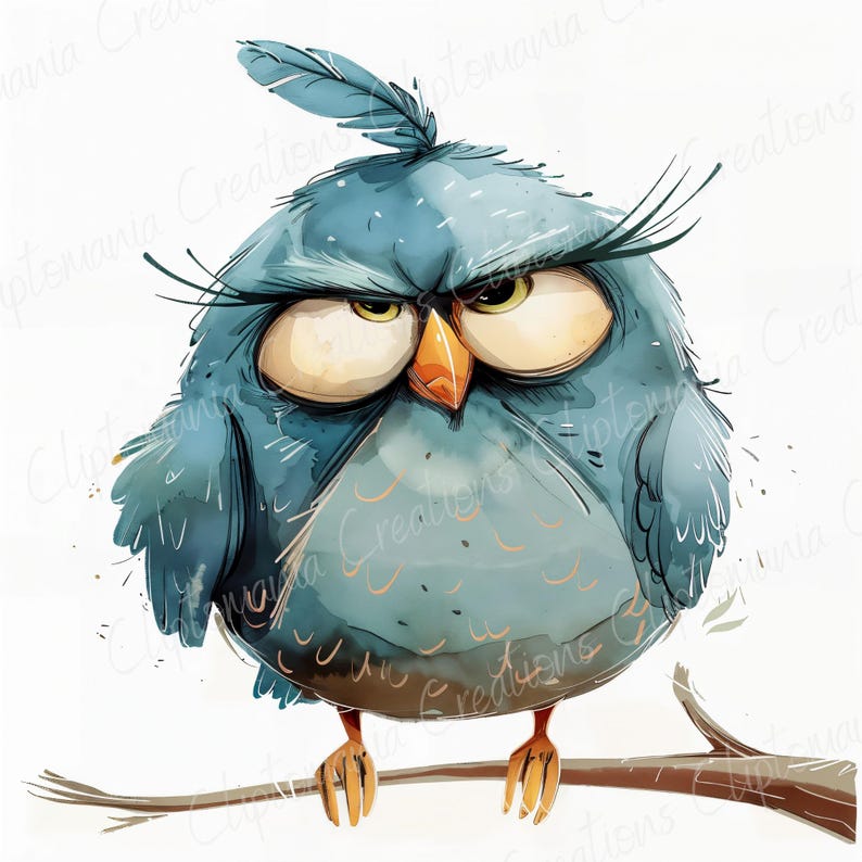 Funny Grumpy Birds 14 JPEG Clipart Bundle | Commercial Use | Card ...