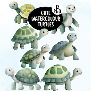 Cute Watercolour Turtle PNG Clipart Bundle, Cute Ocean Animals for Baby Shower, Nursery Prints & Digital Crafts, Cute Tortoise PNG image 1