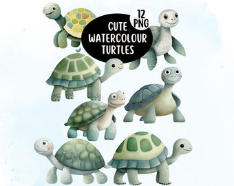 Schattige aquarel schildpad png clipartbundel, schattige oceaandieren voor babyshower, kinderkamerafdrukken en digitaal handwerk, schattige schildpad png