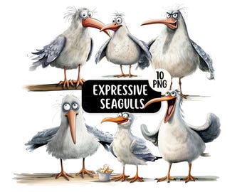 Ausdrucksstarke Möwe Clipart Bundle 10 PNG, kommerzielle Nutzung, lustige Seaside Grafiken, lustige Vögel, Papierherstellung, Kartengestaltung