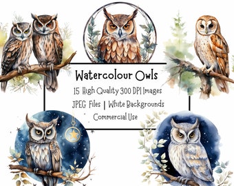 水彩フクロウ クリップアート バンドル | 15 枚の高品質 JPEG 画像