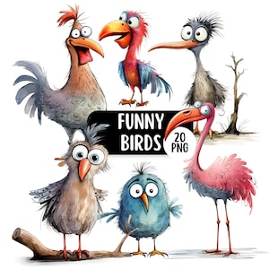 May include: Watercolor illustration of six cartoon birds with exaggerated features. The birds are in various colors, including red, blue, and pink. The text "FUNNY BIRDS 20 PNG" is displayed on a black background.