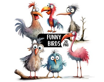 Funny Bird PNG Clipart Bundle, Cute Birds Graphics, Transparent Backgrounds, Commercial Use, Digital Paper Craft, Junk Journal